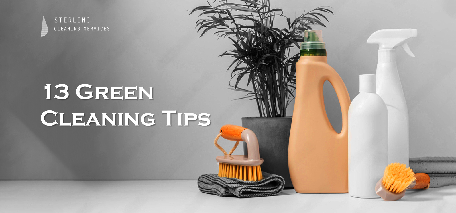 One Stop Green Cleaning Tips For Your Office That Sparkle